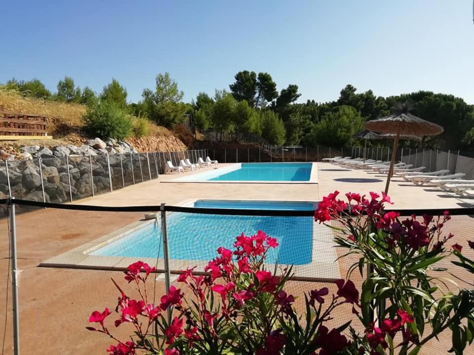 Camping Le Bois De Pins Salses-le-Chateau Exterior photo
